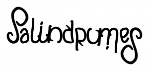 palindromes-ambigram
