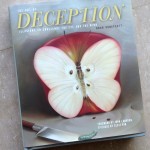 Deception-book-cover