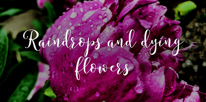 Of raindrops and dying flowers
