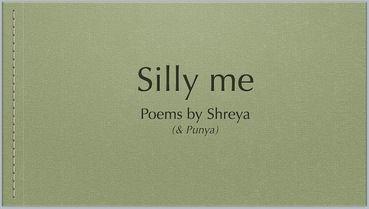 Silly me: Narrated poems for our crazy times